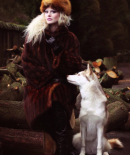 juuli-dog
